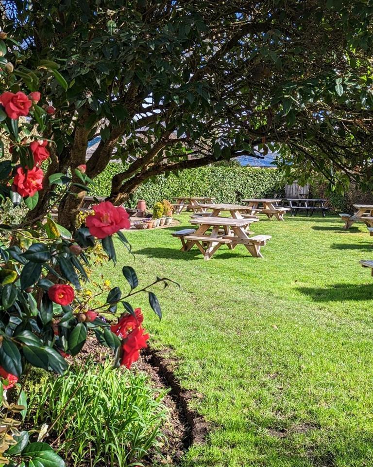 The Mortimer Arms (Adults Only) รอมซีย์ ภายนอก รูปภาพ